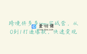 跨境拼多多temu实战营，从0到1打造爆款，快速变现