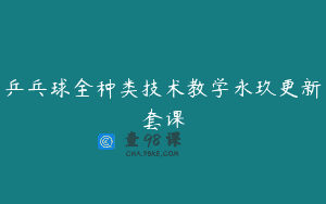 乒乓球全种类技术教学永玖更新套课