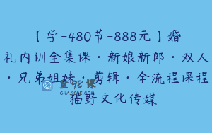 【学-480节-888元】婚礼内训全集课·新娘新郎·双人·兄弟姐妹·剪辑·全流程课程_猫野文化传媒