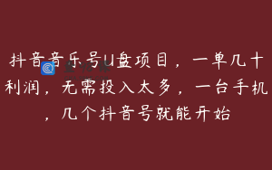 抖音音乐号U盘项目，一单几十利润，无需投入太多，一台手机，几个抖音号就能开始