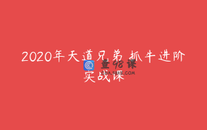 2020年天道兄弟 抓牛进阶实战课