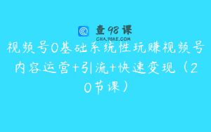 视频号0基础系统性玩赚视频号内容运营+引流+快速变现（20节课）