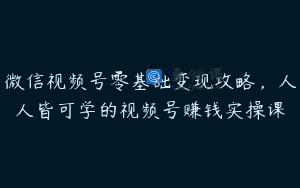 微信视频号零基础变现攻略，人人皆可学的视频号赚钱实操课