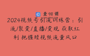 2024视频号引流训练营：引流/裂变/直播/变现 获取红利 把握短视频流量风口