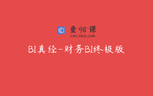 BI真经-财务BI终极版