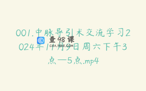 001.中脉导引术交流学习2024年11月9日周六下午3点—5点.mp4