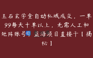 玉石玄学全自动私域成交，一单99每天十单以上，无需人工和矩阵账号，蓝海项目直接干【揭秘】