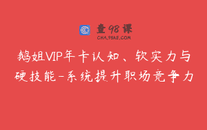 鹅姐VIP年卡认知、软实力与硬技能-系统提升职场竞争力