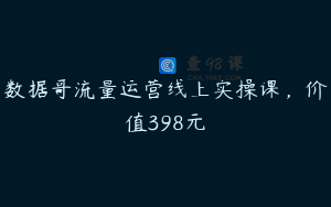 数据哥流量运营线上实操课，价值398元