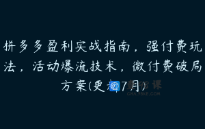 拼多多盈利实战指南，强付费玩法，活动爆流技术，微付费破局方案(更新7月)