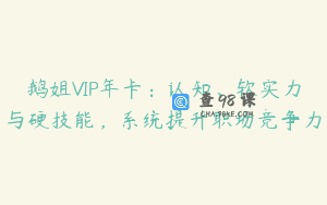 鹅姐VIP年卡:认知、软实力与硬技能,系统提升职场竞争力