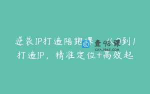 逆袭IP打造陪跑课，从0到1打造IP，精准定位+高效起