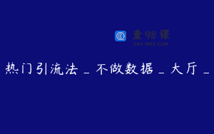 热门引流法_不做数据_大厅_