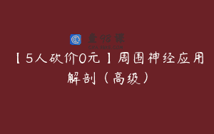 【5人砍价0元】周围神经应用解剖（高级）
