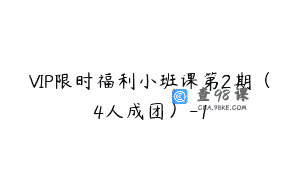 VIP限时福利小班课第2期（4人成团）-1