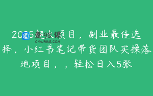 2025超火项目，副业最佳选择，小红书笔记带货团队实操落地项目，，轻松日入5张