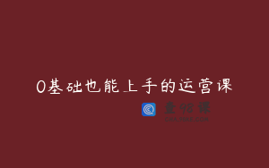 0基础也能上手的运营课