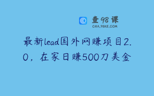 最新lead国外网赚项目2.0，在家日赚500刀美金
