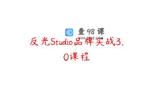 反光Studio品牌实战3.0课程