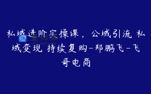 私域进阶实操课，公域引流 私域变现 持续复购-郑鹏飞-飞哥电商