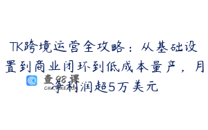 TK跨境运营全攻略：从基础设置到商业闭环到低成本量产，月净利润超5万美元