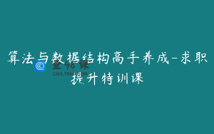 算法与数据结构高手养成-求职提升特训课