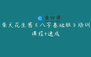 柴犬花生酱《八字基础班》培训课程+速成