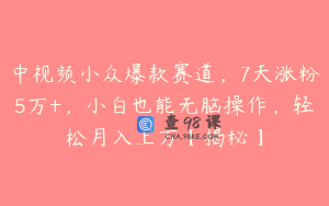 中视频小众爆款赛道，7天涨粉5万+，小白也能无脑操作，轻松月入上万【揭秘】