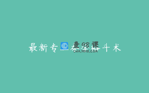 最新专业泰拳格斗术