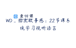 WD_拍出故事感：22节课系统学习视听语言