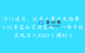 冷门项目，记录儿童成长档案，小红书虚拟资源变现，一部手机实现日入300+【揭秘】