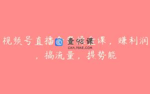 视频号直播全案操盘课，赚利润，搞流量，提势能