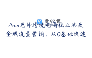 Aron老师跨境电商独立站及全域流量营销，从0基础快速