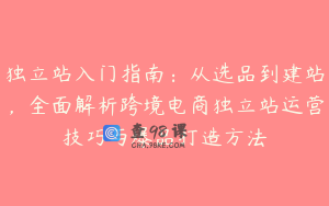 独立站入门指南：从选品到建站，全面解析跨境电商独立站运营技巧与爆品打造方法