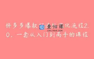 拼多多爆款打造标准化流程2.0，一套从入门到高手的课程