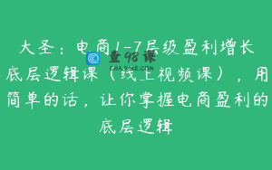 大圣:电商1-7层级盈利增长底层逻辑课(线上视频课),用简单的话,让你掌握电商盈利的底层逻辑