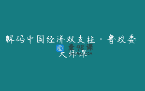 解码中国经济双支柱·鲁政委 大师课