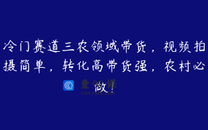 冷门赛道三农领域带货，视频拍摄简单，转化高带货强，农村必做！