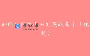 如何从内审小白到实战高手（视频）