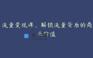 流量变现课，解锁流量背后的商业价值