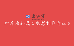 新片场孙武《电影制作专业》