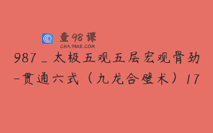 987_太极五观五层宏观骨劲-贯通六式（九龙合璧术）17