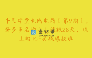 牛气学堂老陶电商【第9期】，拼多多名师线上领跑28天，线上孵化-实战爆款班