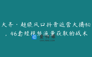 大齐·超级风口抖音运营大揭秘，46套短视频流量获取的战术