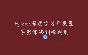 PyTorch深度学习开发医学影像端到端判别