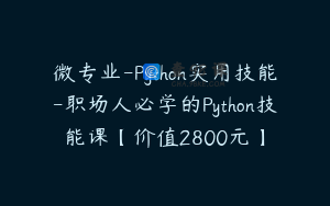 微专业-Python实用技能-职场人必学的Python技能课【价值2800元】