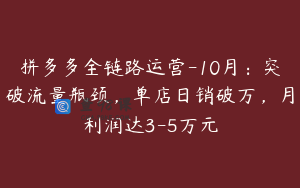 拼多多全链路运营-10月：突破流量瓶颈，单店日销破万，月利润达3-5万元