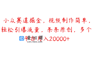 小众赛道掘金，视频制作简单，轻松引爆流量，条条原创，多个平台月入20000+