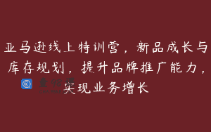 亚马逊线上特训营，新品成长与库存规划，提升品牌推广能力，实现业务增长