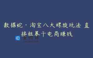 数据蛇·淘宝八大螺旋玩法 直接粗暴干电商赚钱